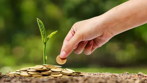 Thinkstockphotos 514236324