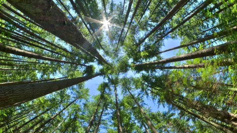 How Big Data is slowly destroying our environment