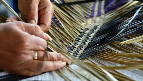 Thinkstockphotos 496032840