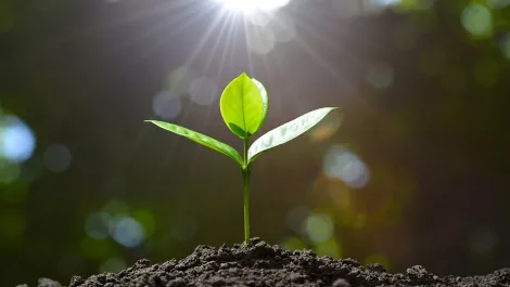 Thinkstockphotos 584465628
