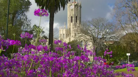 Auckland Uni selects Rimini Street to update payroll systems