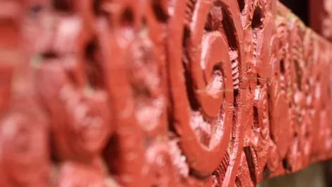 Google can now translate pics of Te Reo Māori