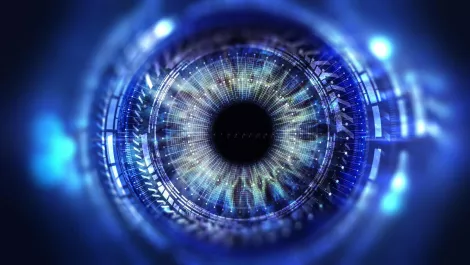 The human eye as a proxy for the future of networking