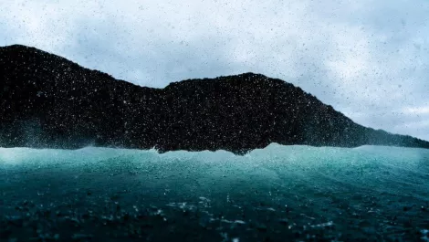 Oscar hetherington backwash