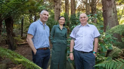 7191 tikanga in technology 4 email