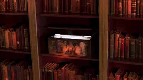Archiveprogram github piqlfilm wide light
