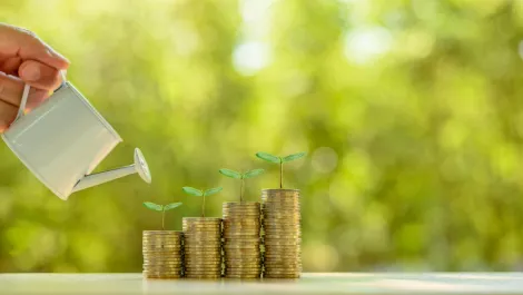 NZ economy entering 2021 as fit as a fiddle - research