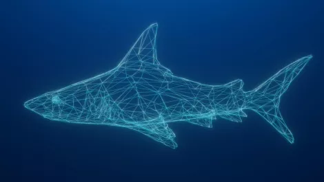 Three ways Shark Week mirrors cybersecurity marketing