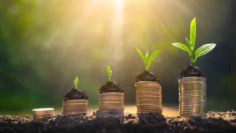 NZ cyber security education company closes $2.3m seed round