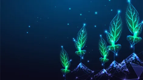 Gettyimages 1410040361