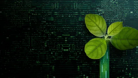 How sustainable IT practices can save the environment