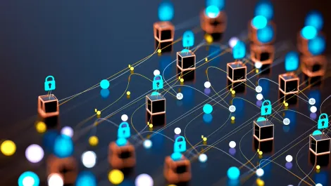 High growth expectations fuels network security investment