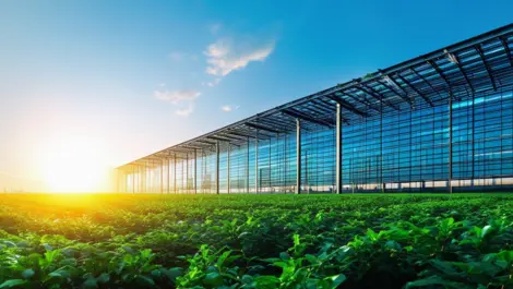 Techday 302c42f5a11a95820eaa