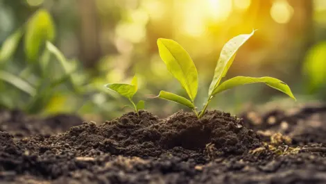 Techday 3dfd140afc11ed1b7613