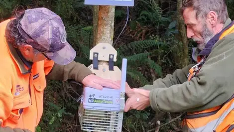 NZ innovators using artificial intelligence traps in conservation fight against pests