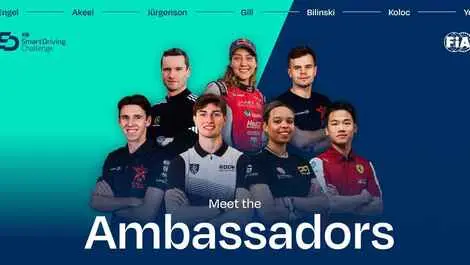 Meet the ambassadors landscape 1 1